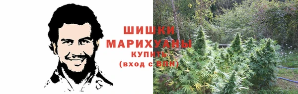 винт Ладушкин