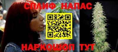 таблы Новокубанск