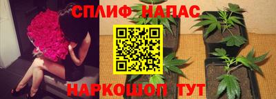 мет Новозыбков