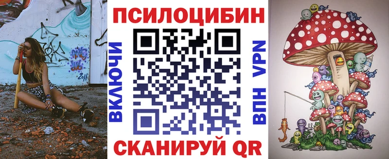 купить  сайты  Петровск  Псилоцибиновые грибы Cubensis 