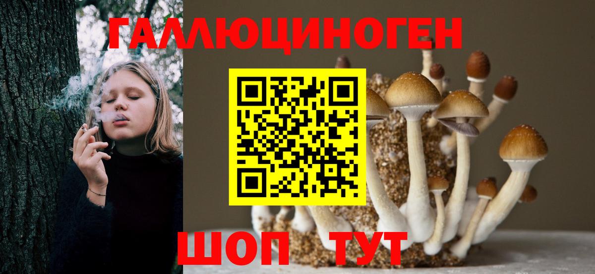 Галлюциногенные грибы GOLDEN TEACHER Петровск